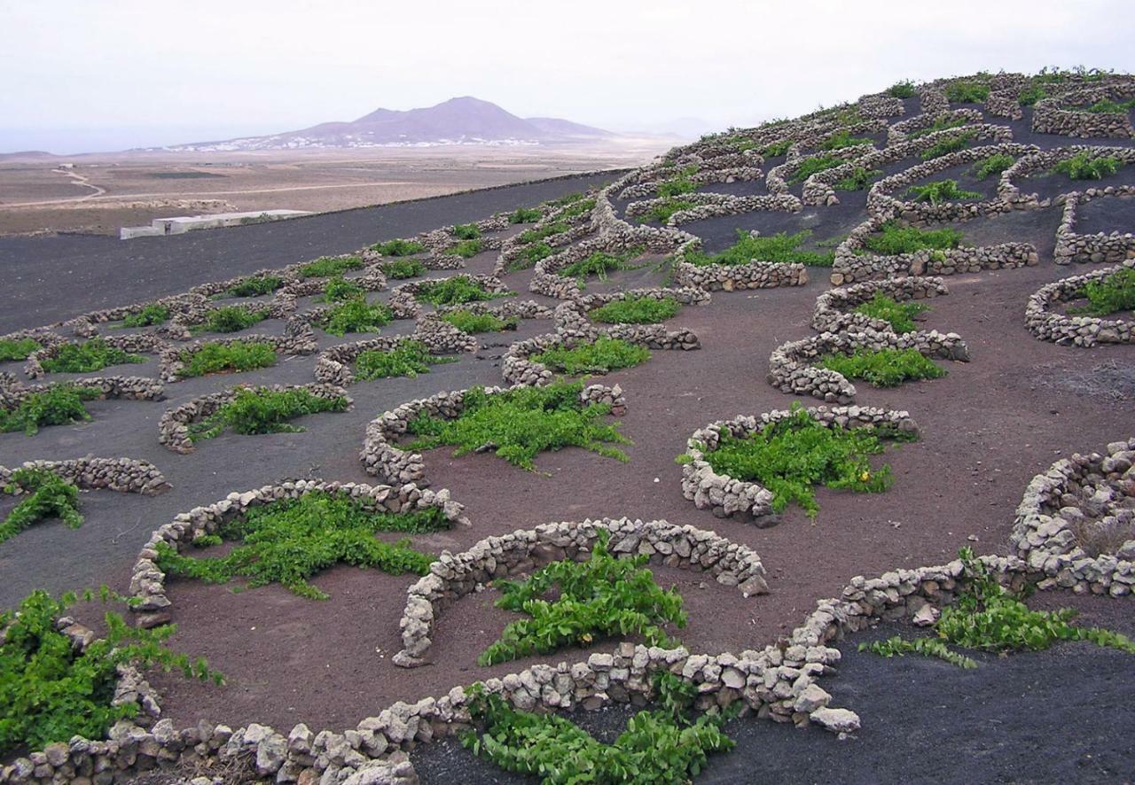 Casa El Gallo Teguise  Bagian luar foto